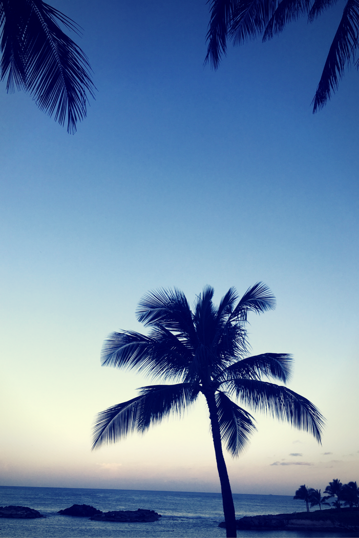 blue-palms-hawaii