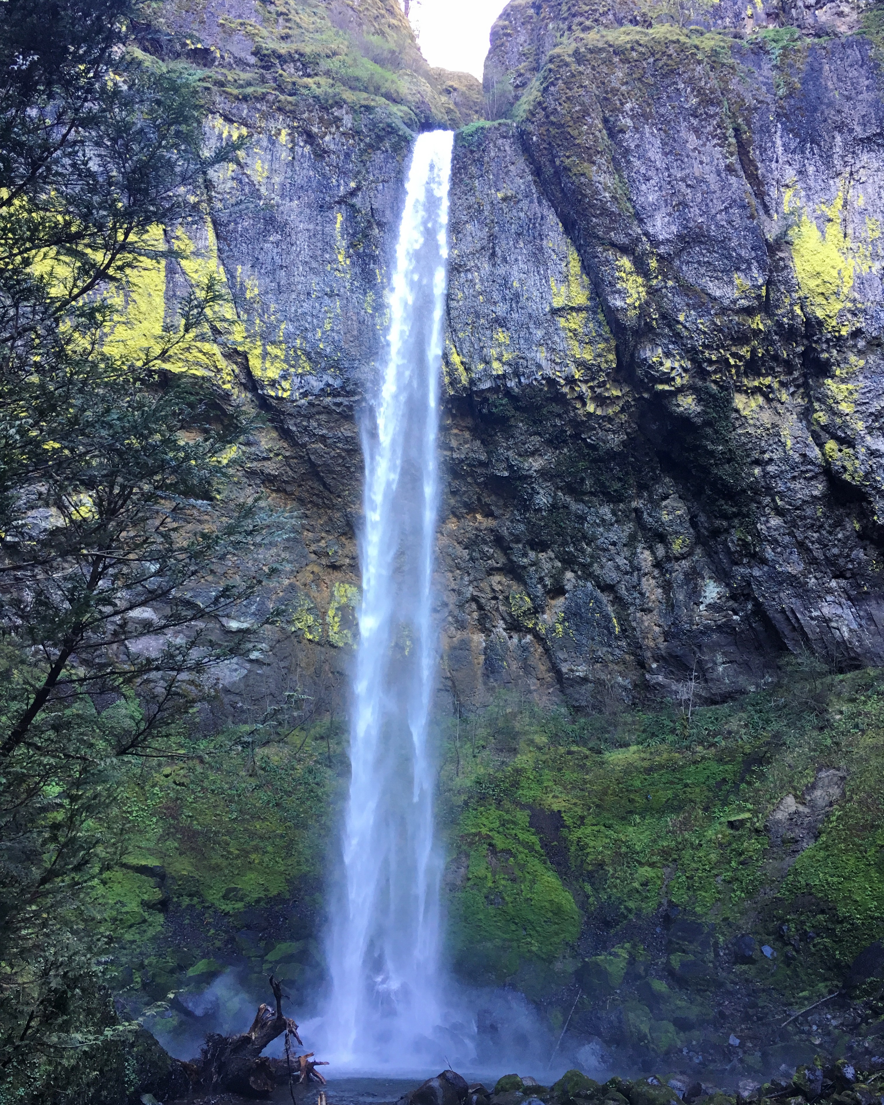 Elowah Falls