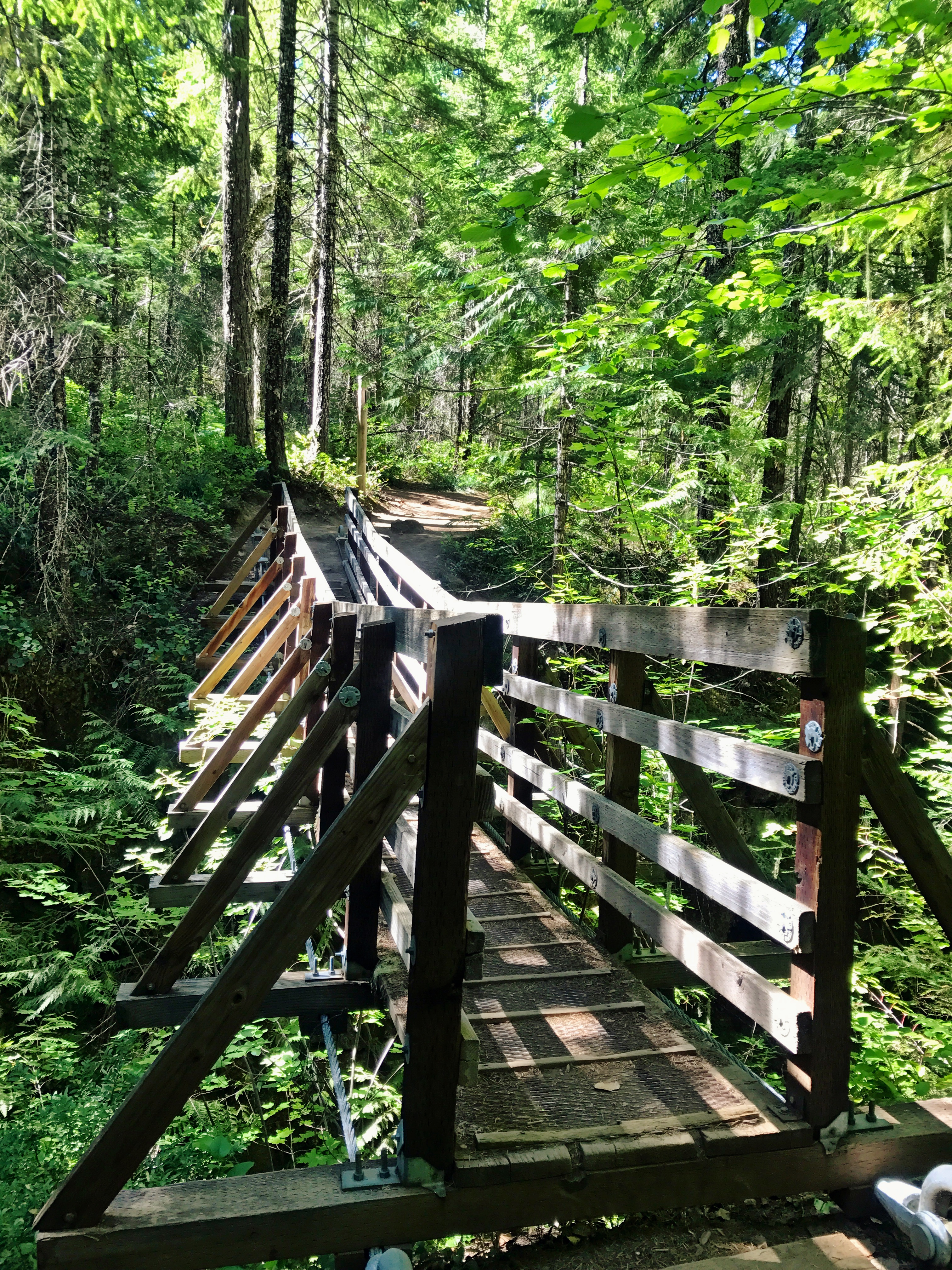 Suspension bridge along Falls creek falls trail