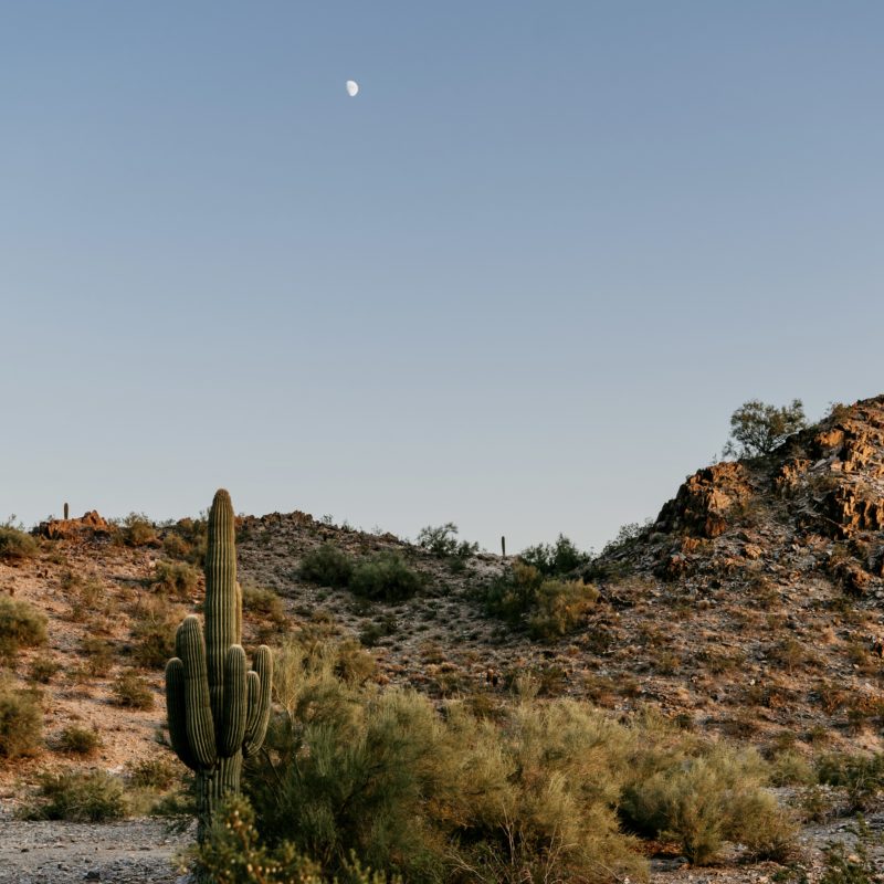 Arizona Photographer | Explore The Moment Creative